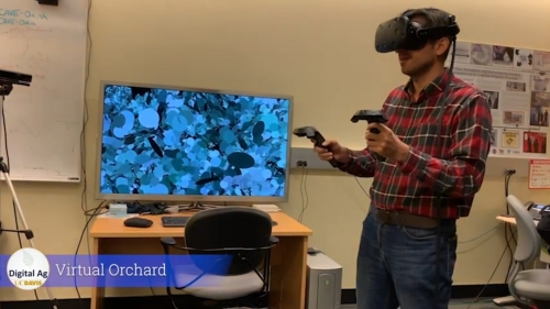 Using VR to see a virtual orchard